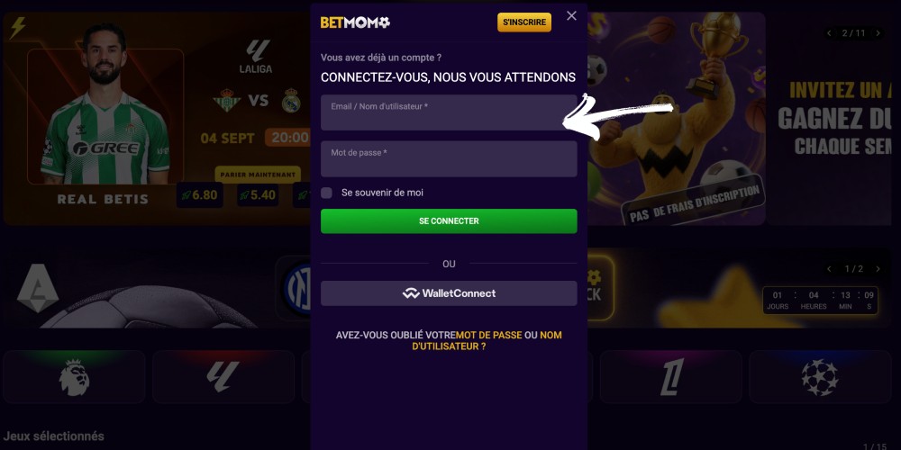 Entrez votre nom d'utilisateur et votre mot de passe